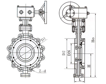 美標(biāo)凸耳蝶閥LT815W(圖1) 美標(biāo)凸耳蝶閥LT815W(圖1)